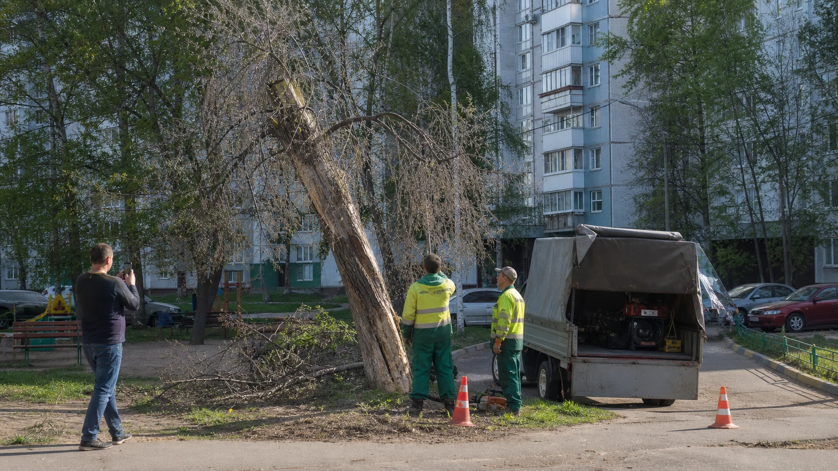 Спил деревьев через администрацию, УК и Госуслуги